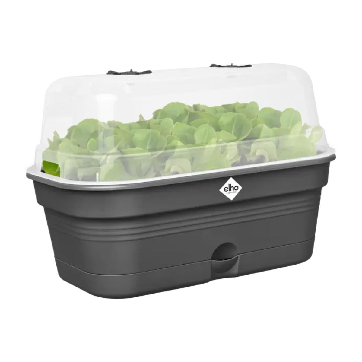 Jardinera de cultivo ALLIN1 Green Basics Elho 32 cm