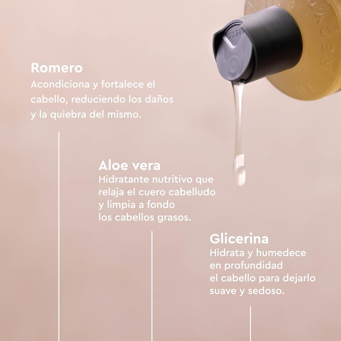 Pack 2x Champú de Romero para cabello fino Urtekram 500 ml