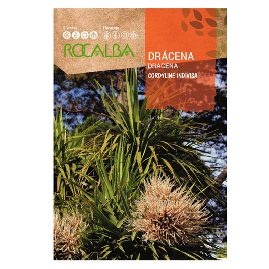 Semillas de Dracena, Rocalba