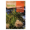 Semillas de Dracena, Rocalba