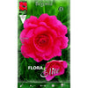 Bulbo Begonia doble rosa 3 uds