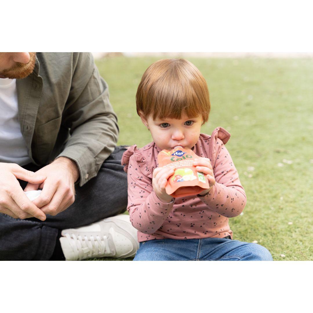 Bolsita fruta 100% Eco sabor manzana, fresa, plátano y arándanos 100 g. Hero Solo