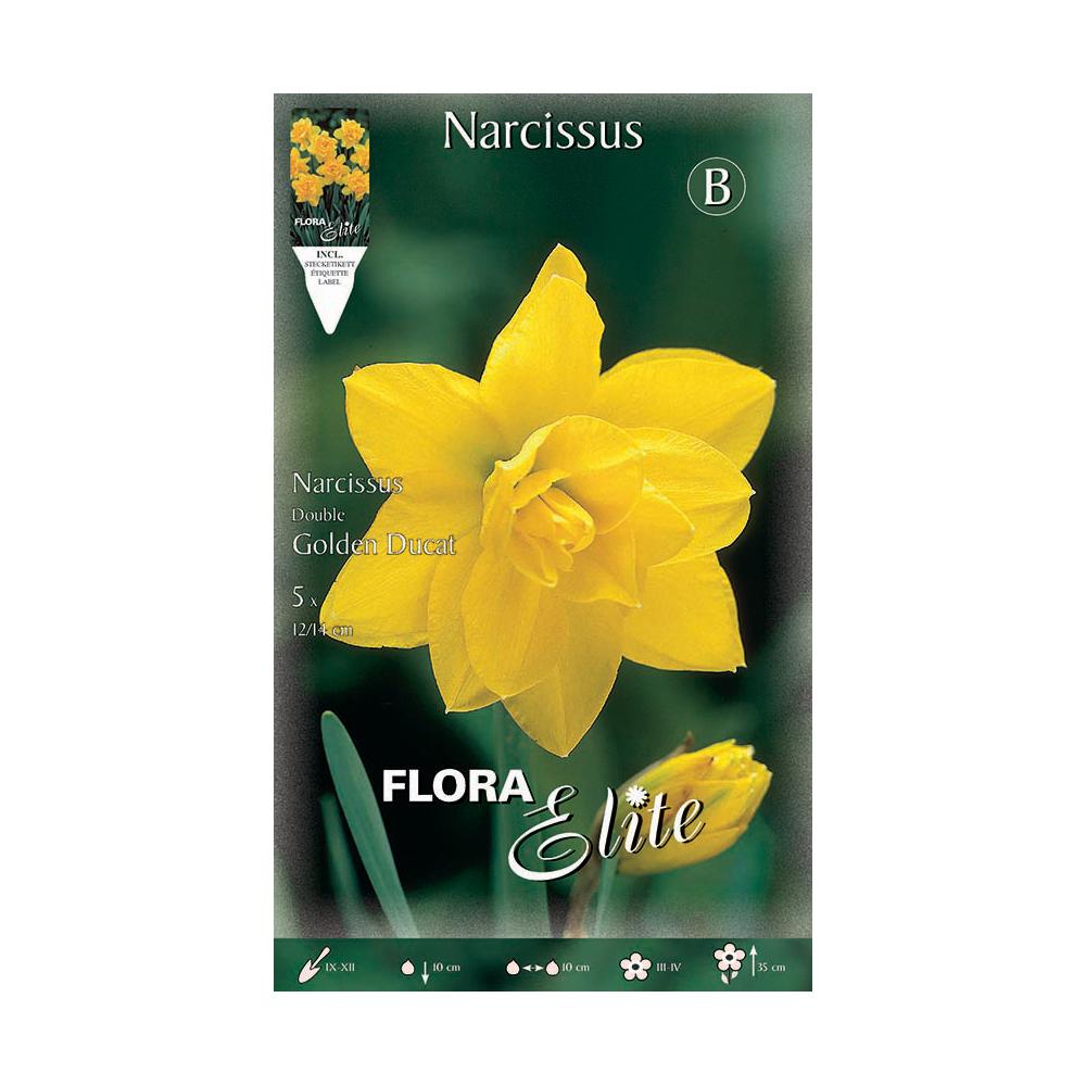 Bulbos Narciso doble amarillo 5 uds