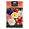 Semillas de Petunia compacta variada Batlle