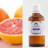 Extracto de semillas de pomelo Camassia