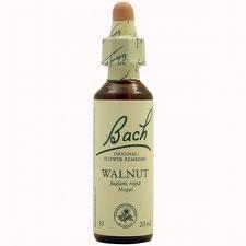 Bach 33 Walnut Nogal 20 Ml ( Nogal) Bach