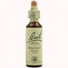Bach 33 Walnut Nogal 20 Ml ( Nogal) Bach