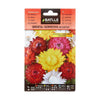 Semillas de Inmortal Siempreviva flor de papel Batlle