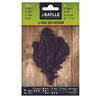 Semillas de Col Kale Red Russian Batlle
