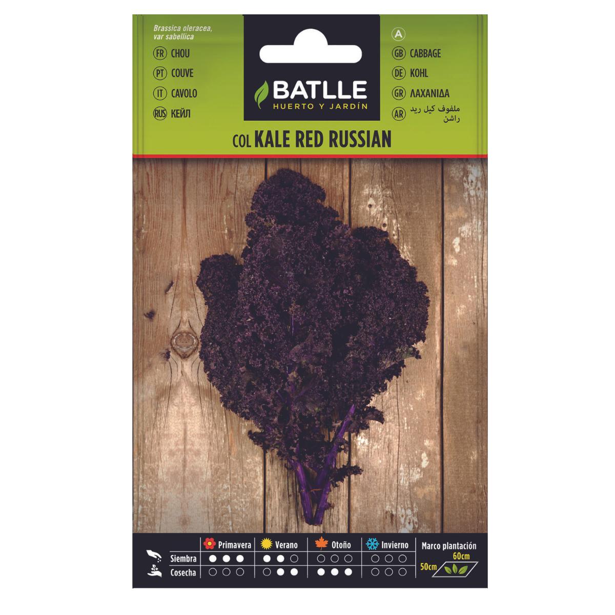 Semillas de Col Kale Red Russian Batlle