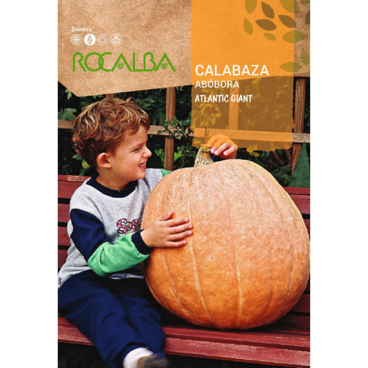 Semillas de Calabaza atlantic giant