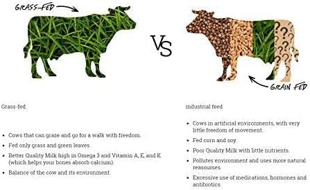 Natruly Proteína Whey Bio Chocolate 350 g 350g