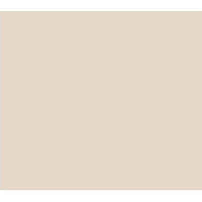 CHALK PAINT CP-38 NUDE