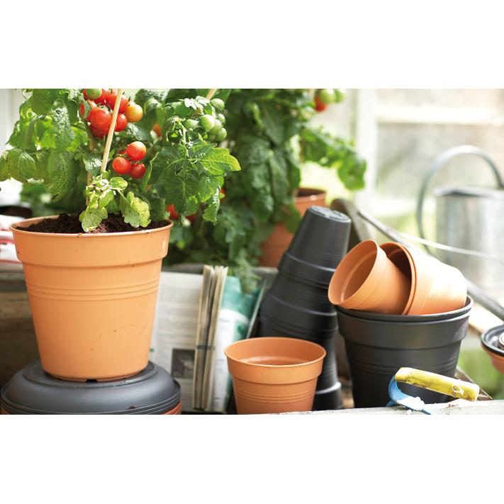 Maceta Green Basics Elho Terra 21 cm