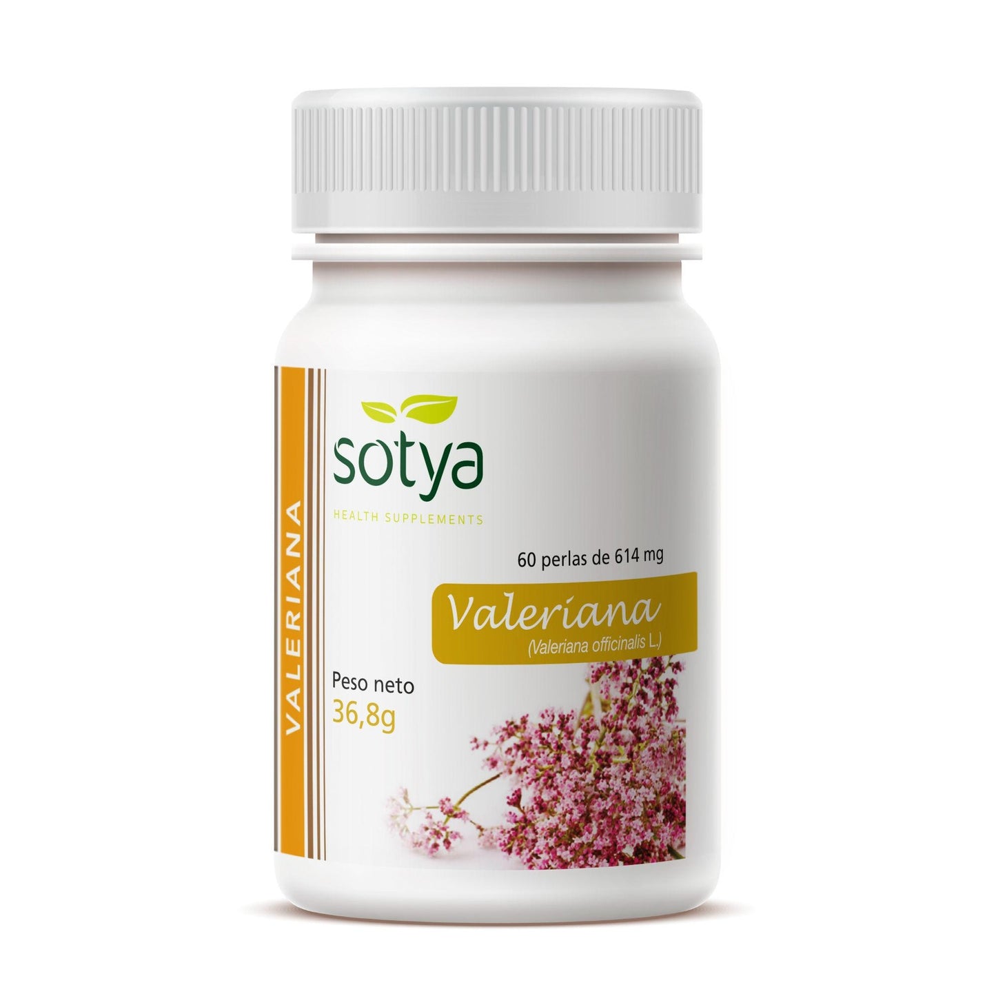 Valeriana Sotya, 60 perlas