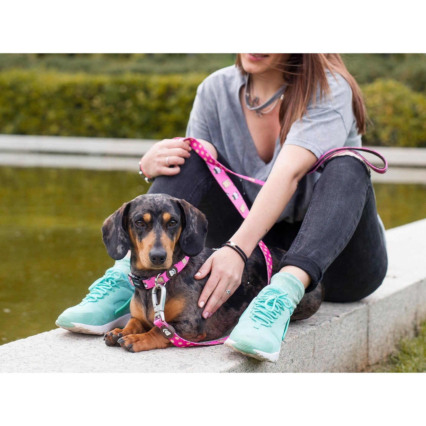 Collar para perro DOGTELLA Dukier L