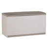 Baúl 120 cm Space Saver Plastiken Beige