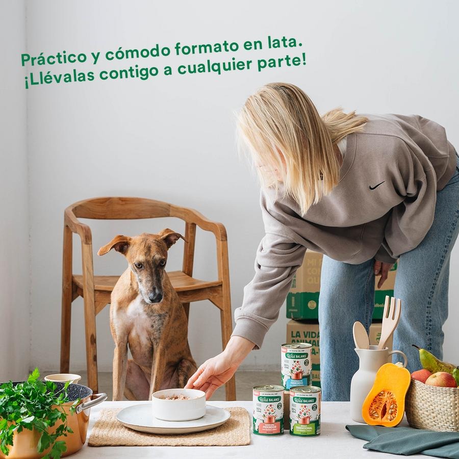 Pack 6X Ragut tradicional de ternera y pollo para perros Wild Balance 400 g