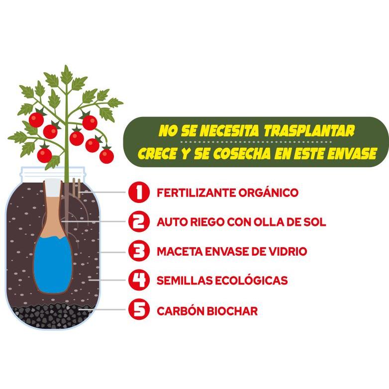 Kit de cultivo interior Tomate Cherry