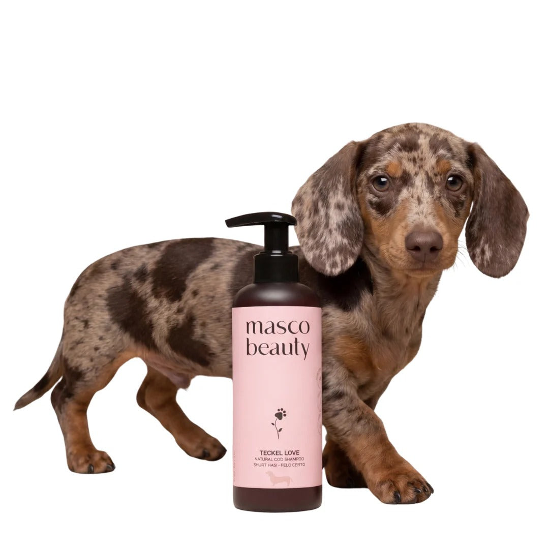 Champú perros teckel- Especial pelo corto Masco Beauty 250 ml