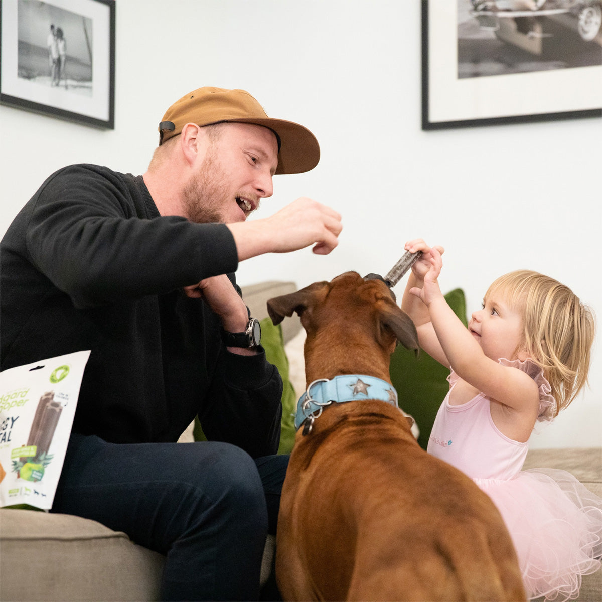 Doggy Dental para perros medianos Manzana y Eucalipto Edgard Cooper 7 sticks