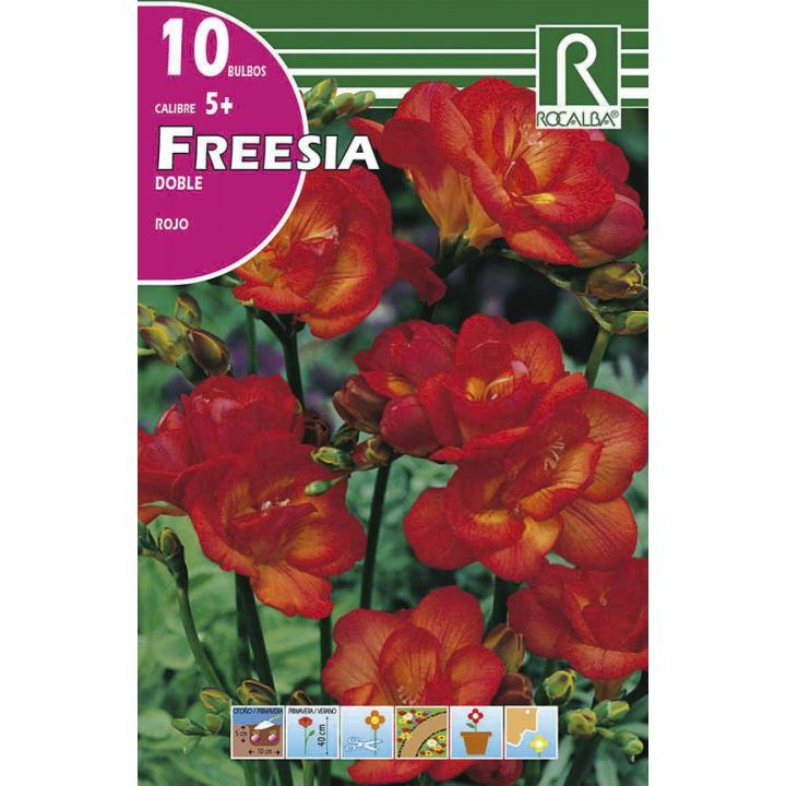 Bulbo Freesia doble rojo 10 uds Rocalba