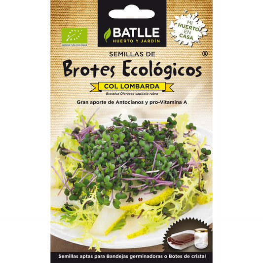 Semillas de Col Lombarda ecológicas para germinados Batlle