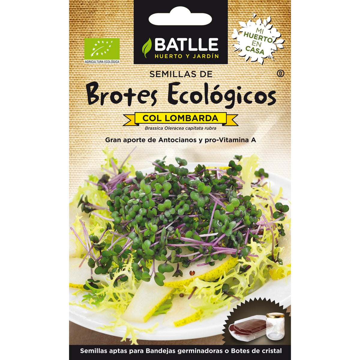 Semillas de Col Lombarda ecológicas para germinados Batlle