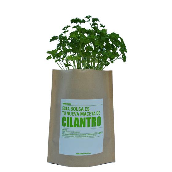 Kit huerto de aromáticas pocket: Cilantro