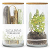 Kit Terrarium para Montar tu jardín de Suculentas, Garden Pocket