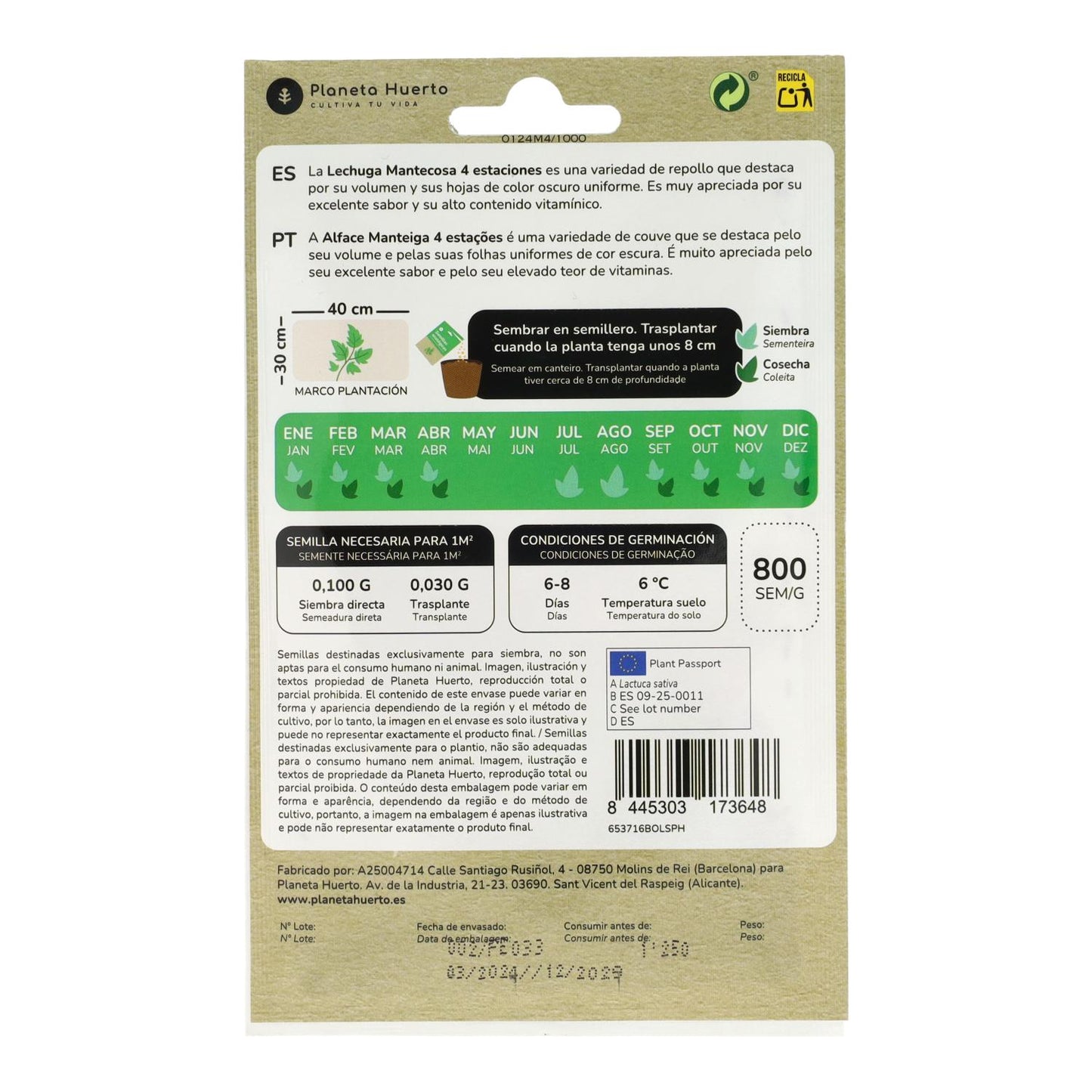 Semillas de Lechuga Mantecosa 4 estaciones ecológicas Planeta Huerto