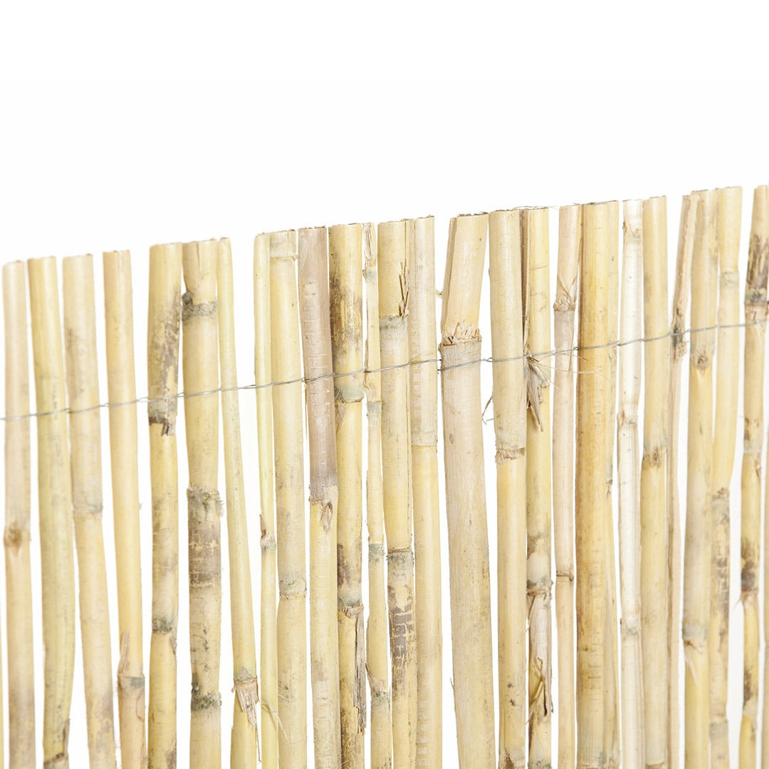 Cañizo media caña natural Midcane Nortene 1,5x5 m
