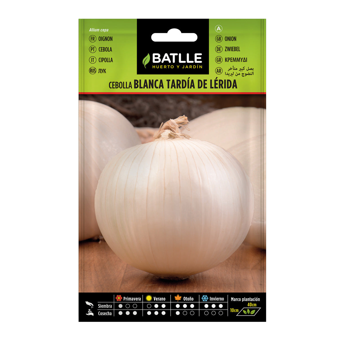 Semillas de Cebolla grande tardía de Lérida Batlle