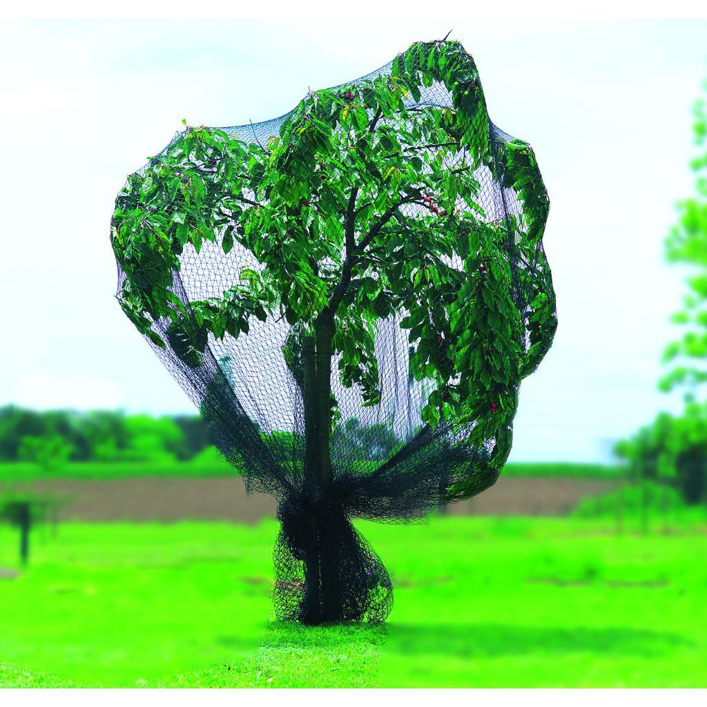 Malla anti pájaros 8 x 10 m Birdnet Nortene