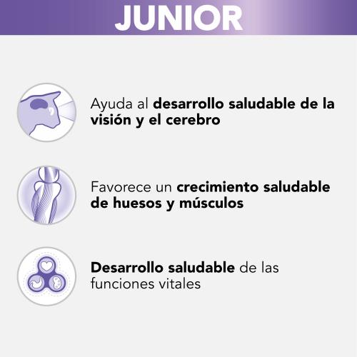 PRO PLAN Gato Kitten Pavo en Salsa 85 g