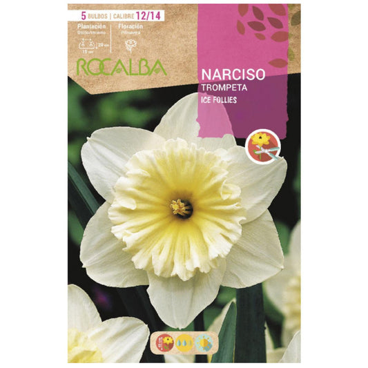 Bulbo Narciso trompeta Ice Follies blanco naranja 5 uds Rocalba