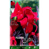 Bulbo Canna roja hoja verde 1 ud