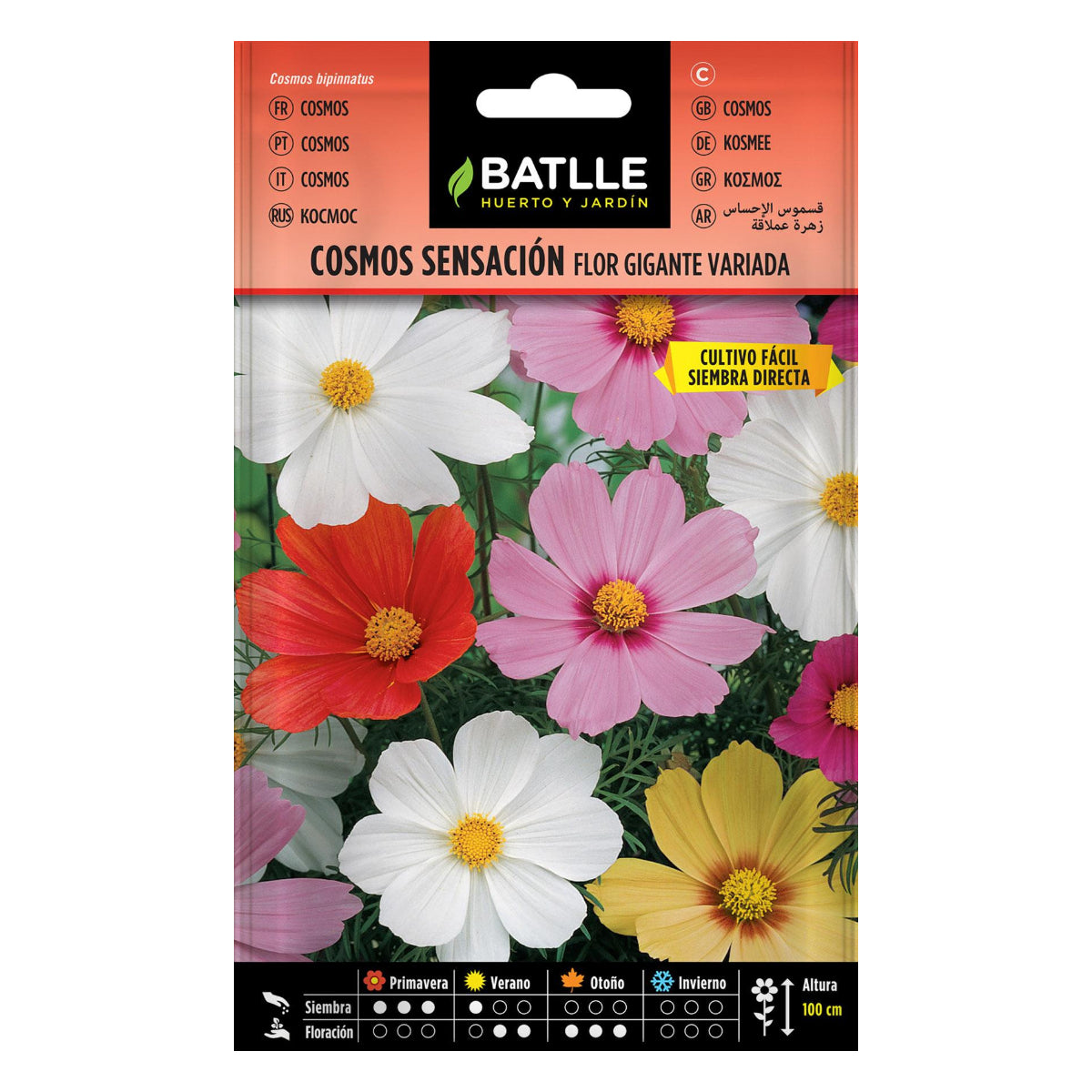 Semillas de Cosmos sensación flor gigante Batlle