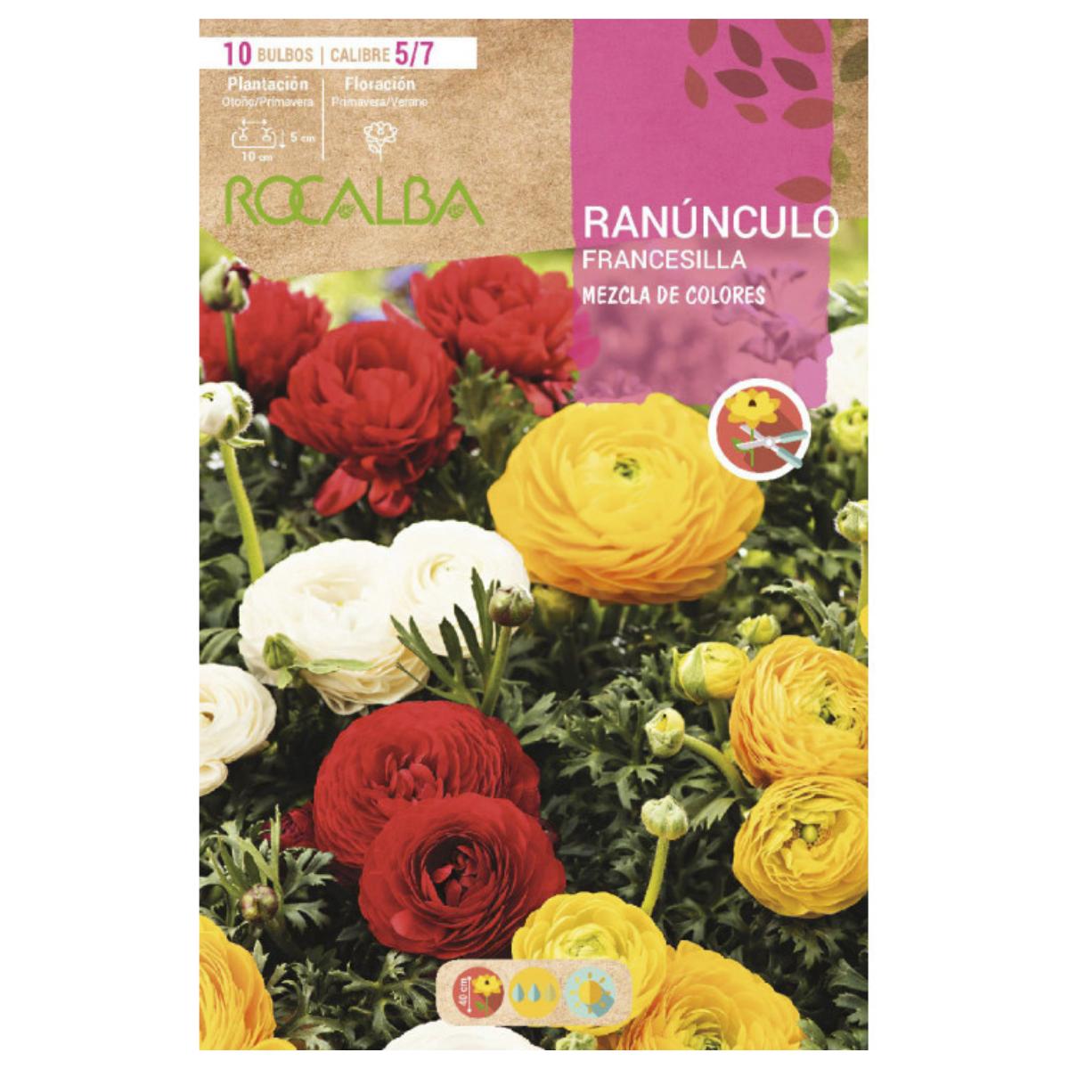 Bulbo Ranúnculo francesilla mezcla 10 uds Rocalba