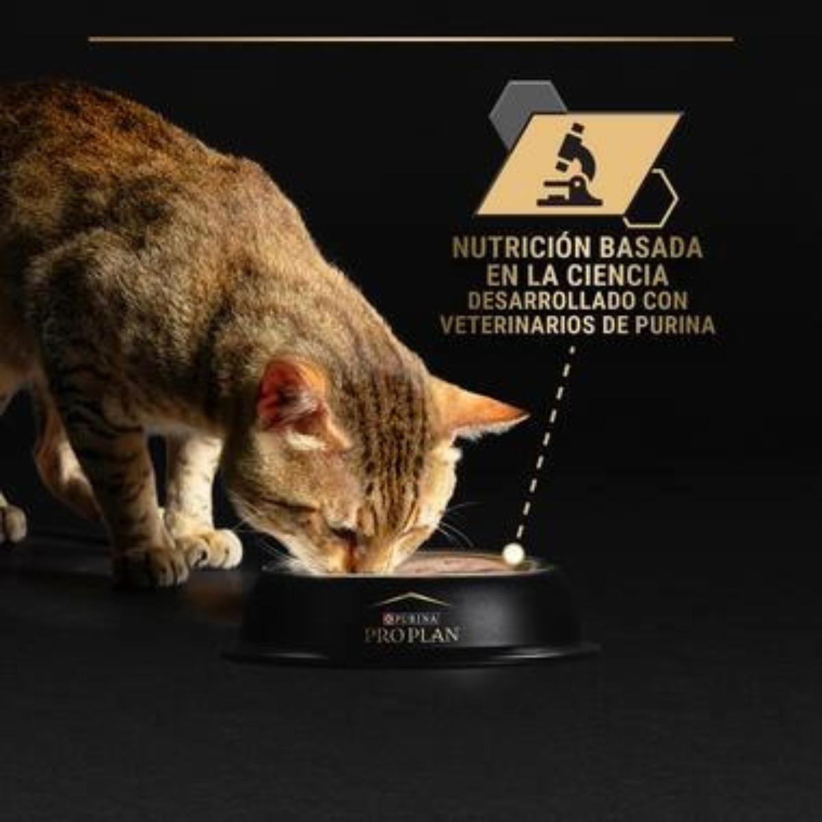 Pro Plan Gato Senior 7+ Longevis Mousse con atún Purina 85g