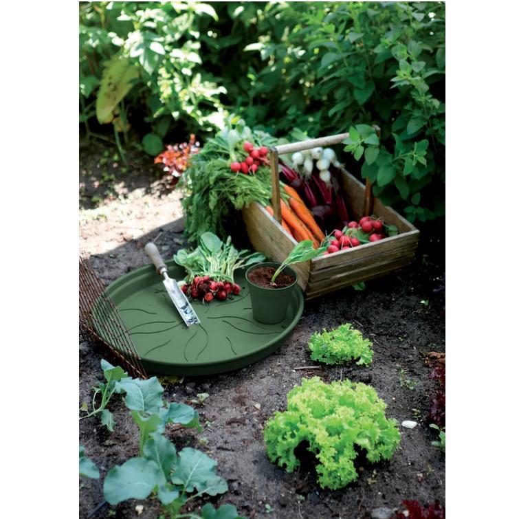 Plato tiesto Green Basics Elho Verde 17 cm