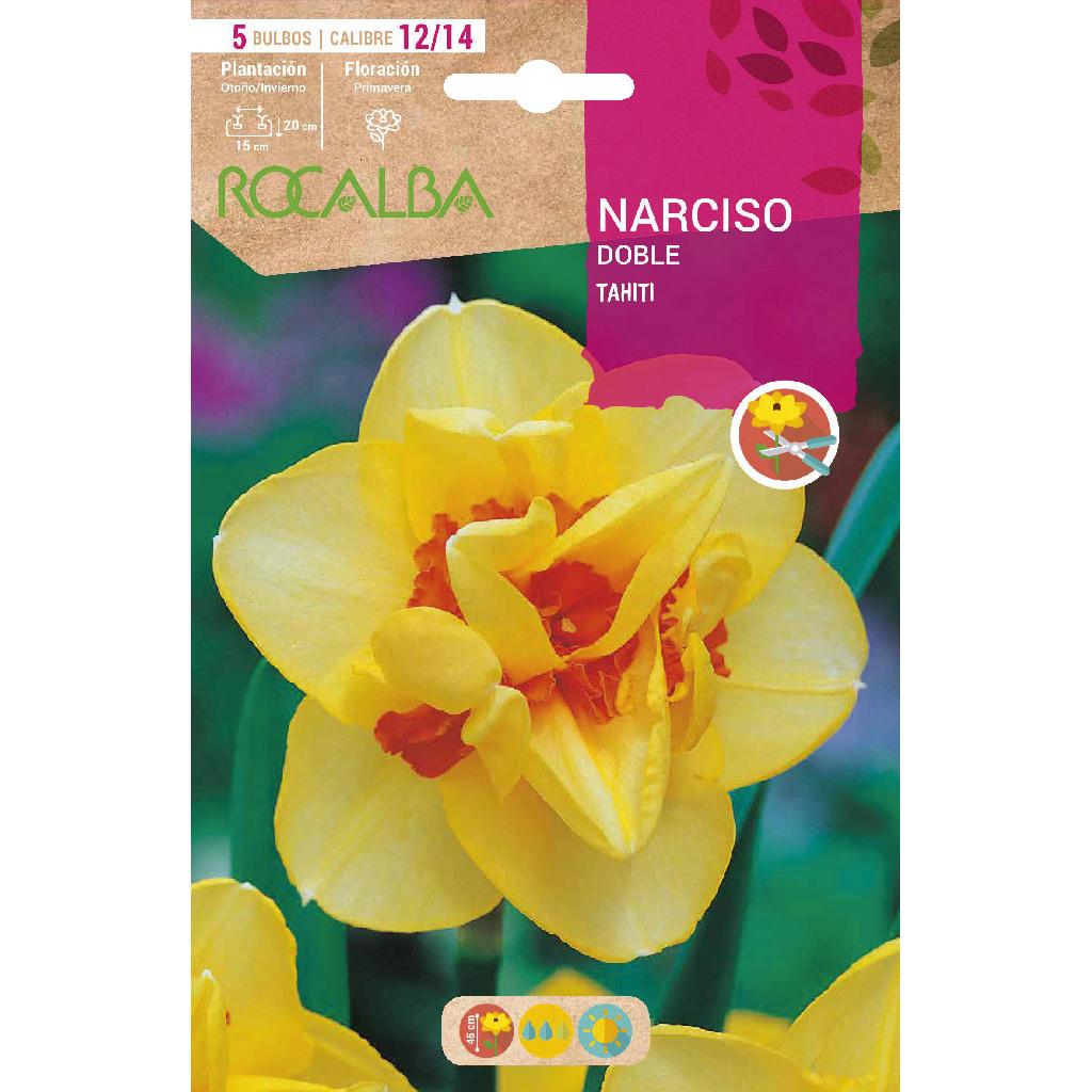 Bulbo Narciso Doble Tahiti amarillo naranja 5 uds Rocalba