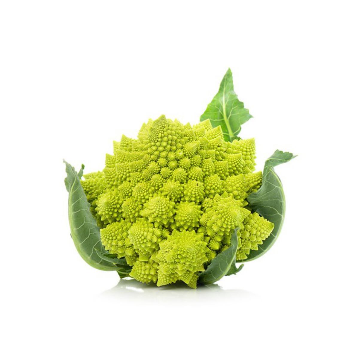 Plantón de Coliflor romanesco en maceta 11 cm