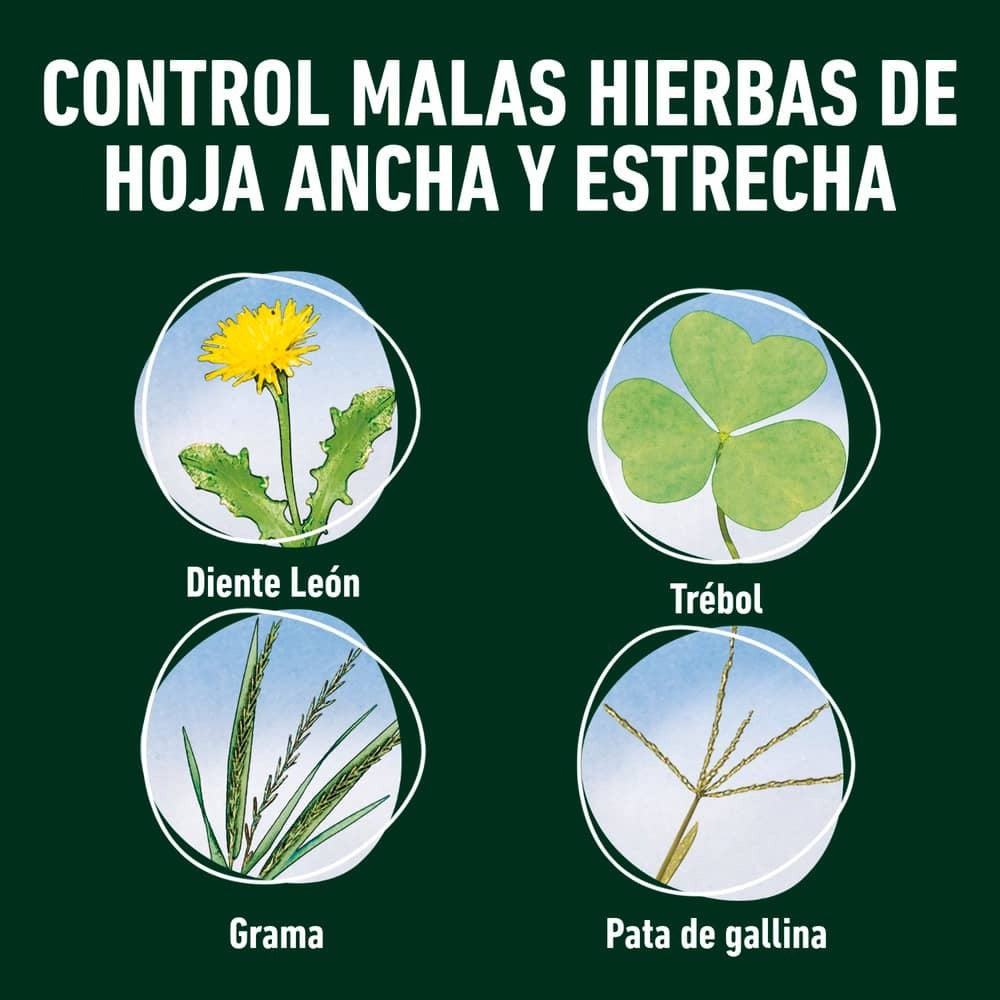 Herbicida total Sistémico Compo 225 ml