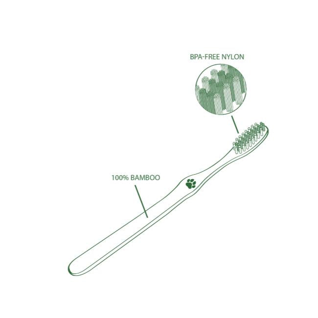 Cepillos de dientes Bambaw Pack 4, cerdas duras de carbón
