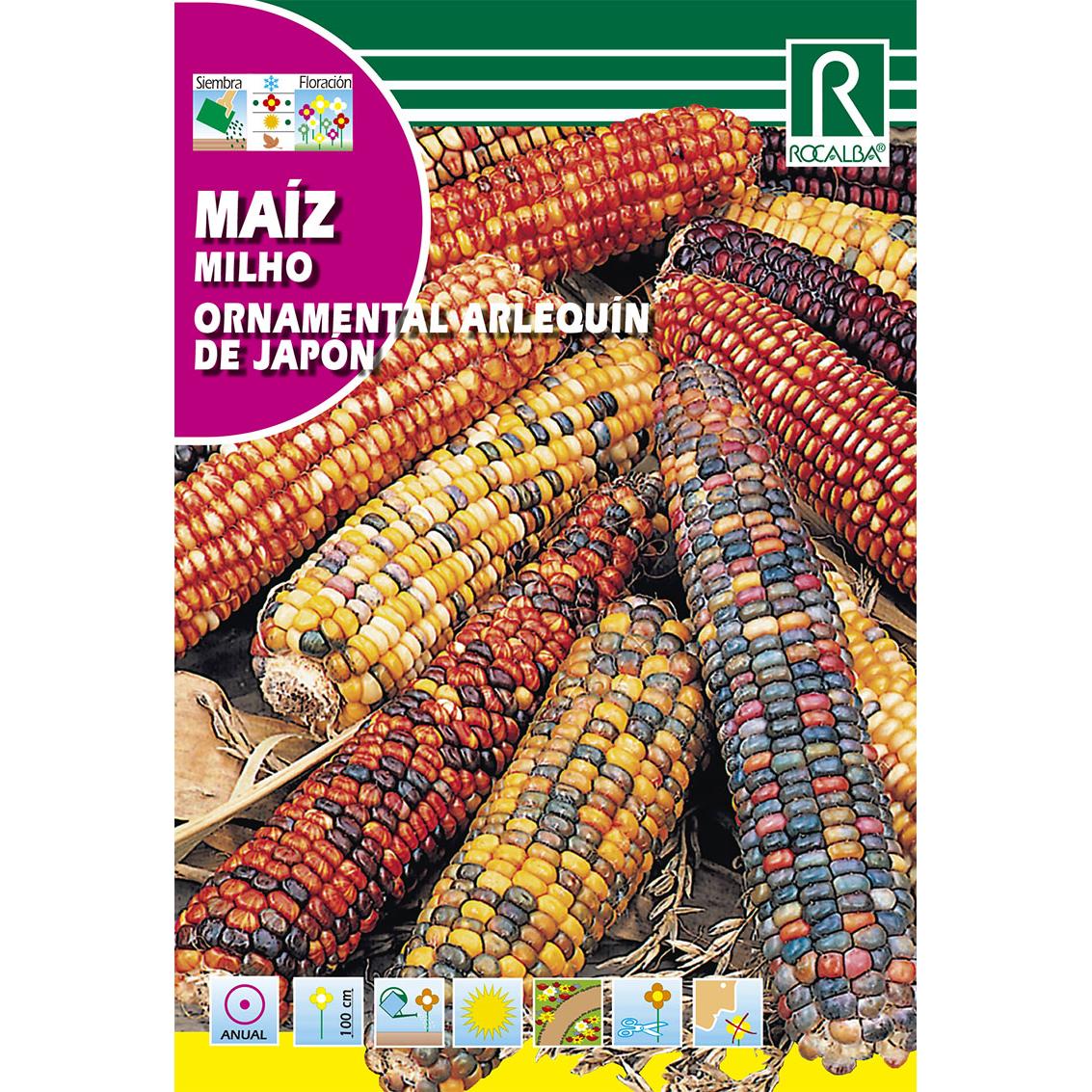 Semillas de Maíz ornamental arlequín del Japón