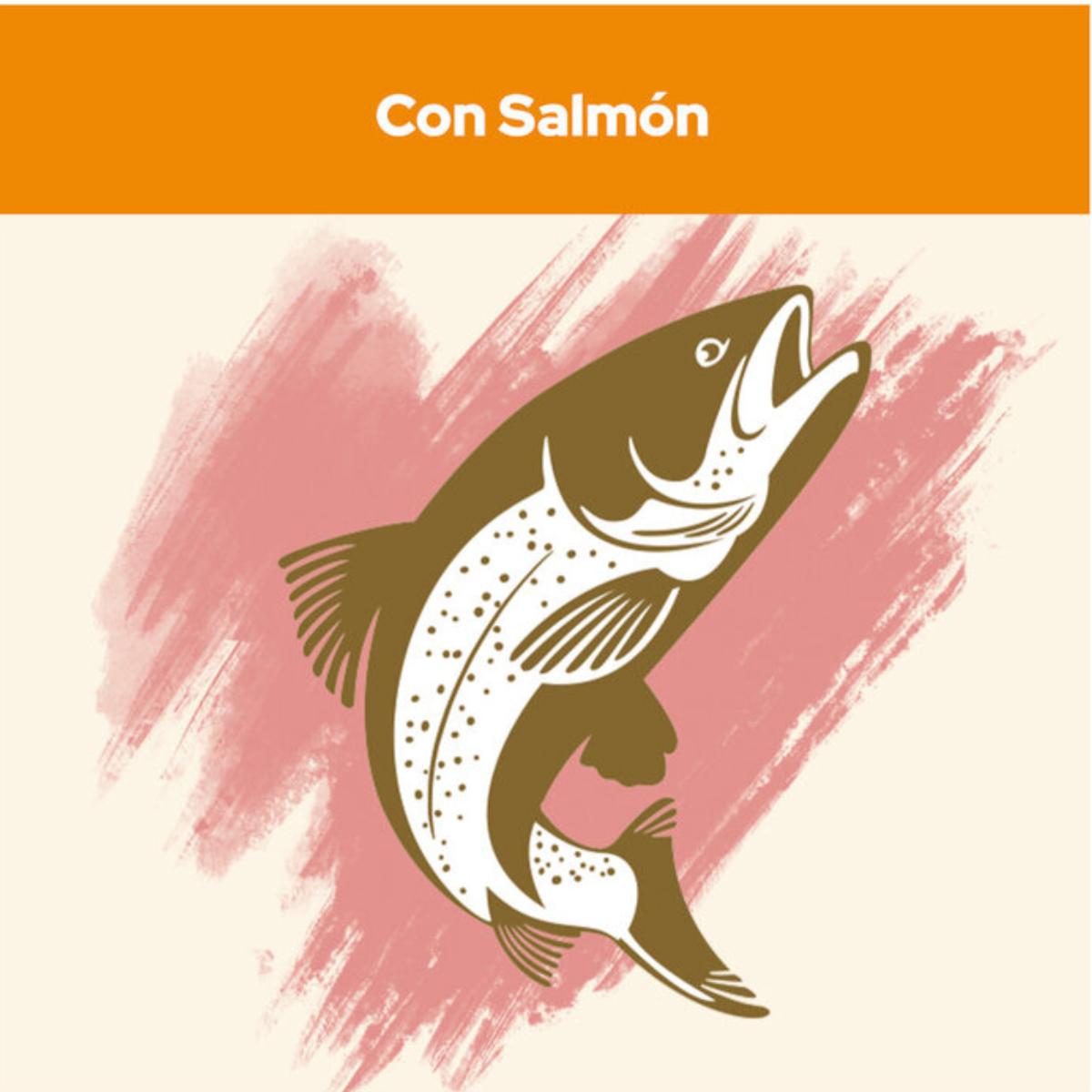 Cat Chow adulto salmón 1,5 kg