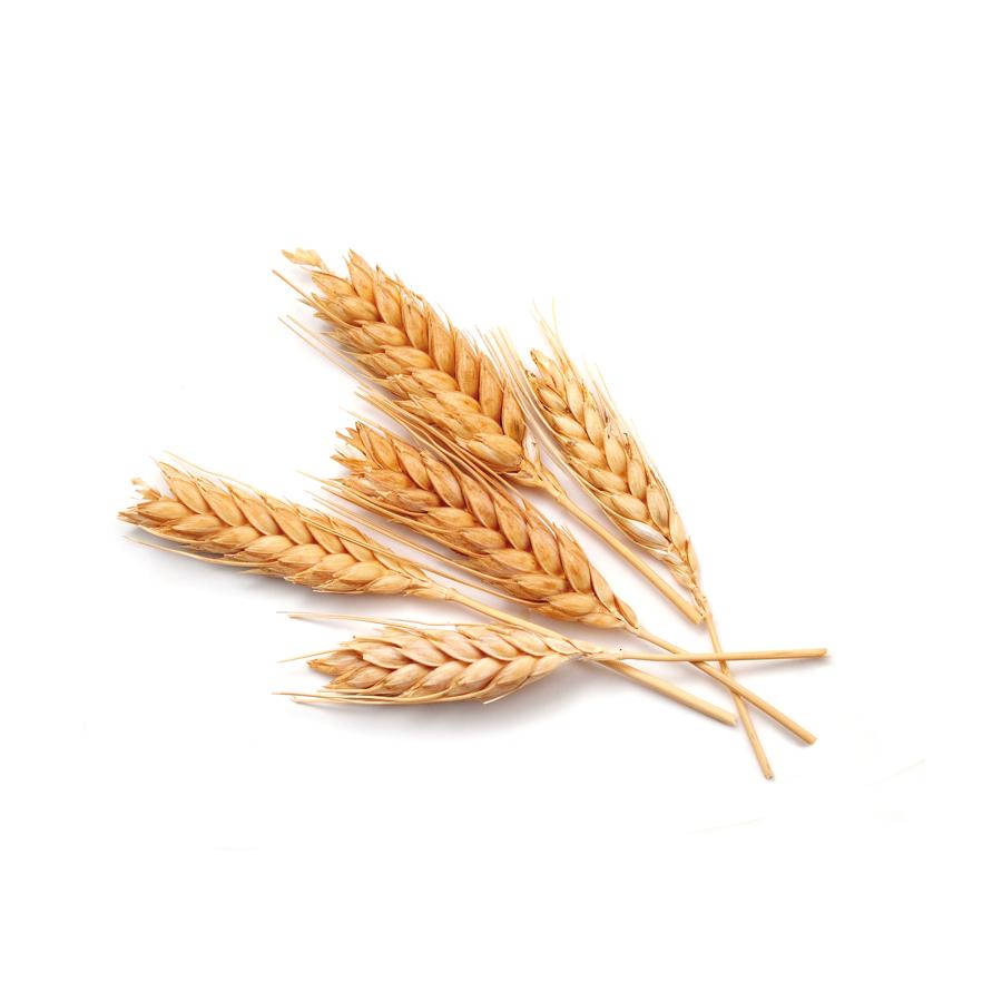 Galletas Artesanas de Trigo Espelta Bio El Granero 220 g