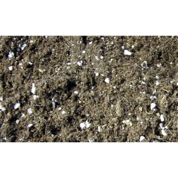 Sustrato para carnívora Nepenthes 1L