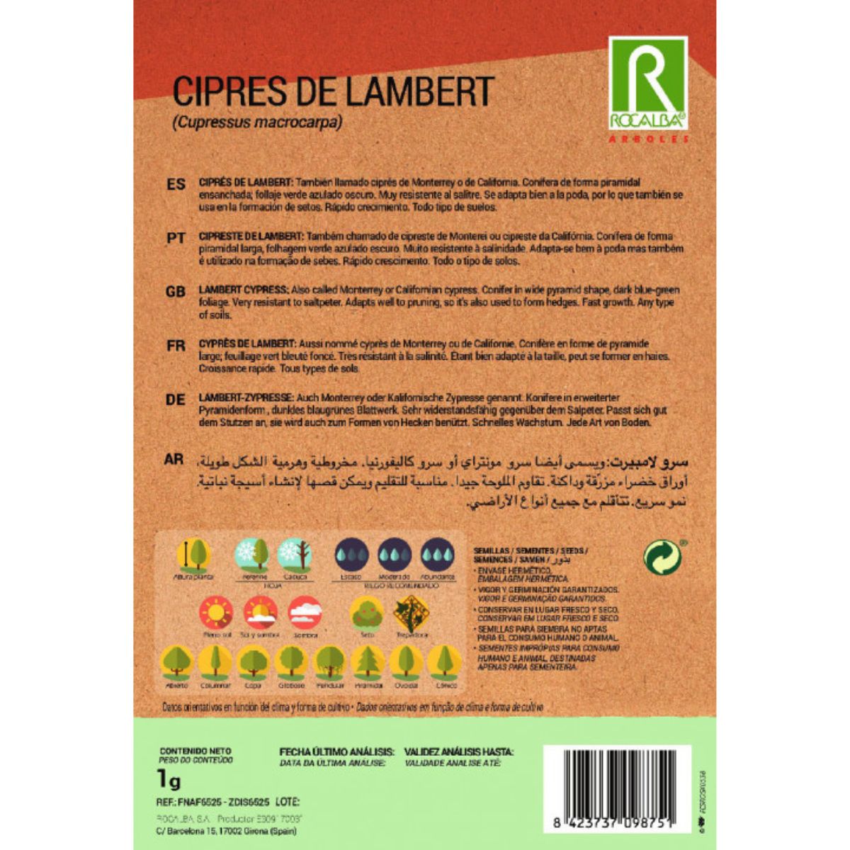 Semillas de Ciprés de lambert Cipreses macrocarpa